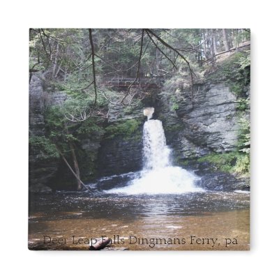 Deer Leap Falls, Childs Park, Pa, Deer Leap Fal... Magnet by mlkintner