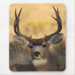 deer mouse pads
