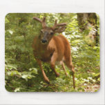 Deer Mousepad