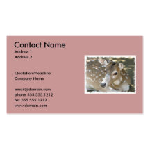 Deer on a Business Card