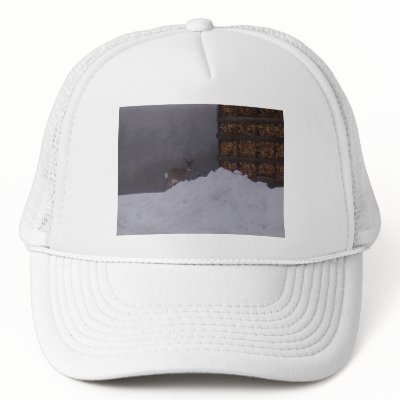 Deer On Farm-Hat by pammys
