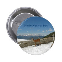 Deer overlook in Glacier National Park Pinback Button