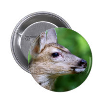 Deer - Profile of a Deer Pinback Buttons