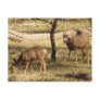 Deer Raspberries II Post Card
