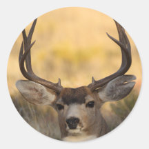 deer round sticker