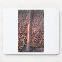 Deer Rub Mousepads