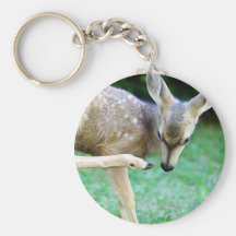 Deer - Scratch that Itch Key Chain