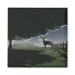 Deer Sighting Magnets