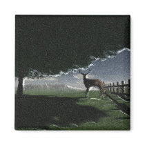 Deer Sighting Magnets