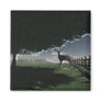 Deer Sighting Magnets