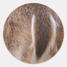 Deer Tail Stickers