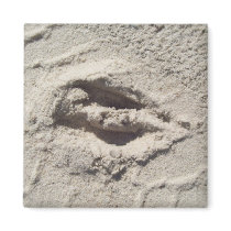 Deer track magnets