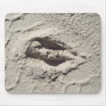 deer track