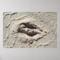 Deer track