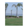 Deerfield Beach Florida FL Palm Trees on Beach Postcard