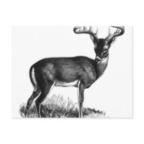 deergif