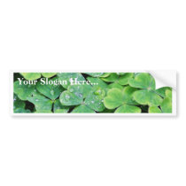 Deerpark Ireland Clover Dew Drops Bumper Sticker
