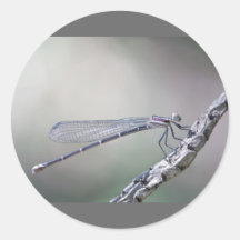 defining serenity round sticker