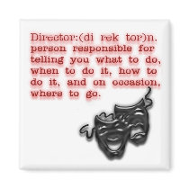 Definition:  Director Magnet magnets