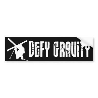 Defy Gravity Bumper Sticker by superatomik