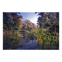 Dégagez la course. Ressorts de Wacissa, la Floride Photo Sur Toile