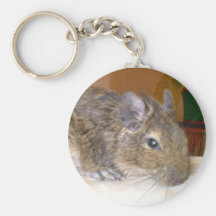 Degu Relaxing Keychain