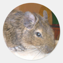 Degu Relaxing Sticker