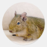 Degu Sticker