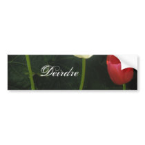 Deirdre Bumper Sticker