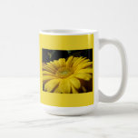 Dekight jaune tasses