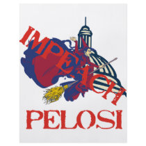 Delete Pelosi Custom Flyer
