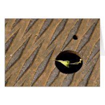 Delicate Balance Greeting Card