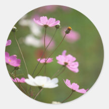 delicate beauty stickers