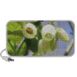 Delicate Blueberry Blossoms Notebook Speaker