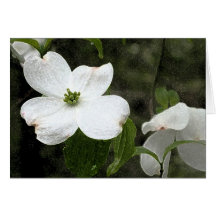 Delicate Dogwood Notecard