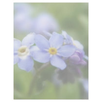 Delicate Forget Me Not Flowers Letterhead Template