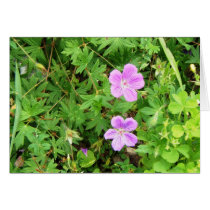 "Delicate Geraniums" Greeting Card
