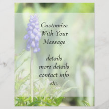 Delicate Grape Hyacinth Bloom Full Color Flyer