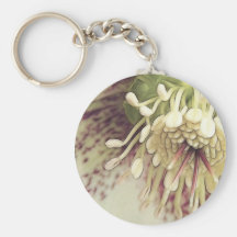 Delicate Hellebore Blossom Key Chains