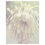 Delicate Hellebore Blossom Customized Letterhead
