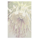 Delicate Hellebore Blossom Stationery Paper
