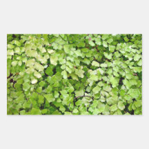 Delicate leafy background stickers
