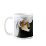 Delicate Coffee Mugs