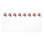 Delicate Peach-Coloured Rose Photo Card Template