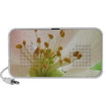 Delicate Pink Apple Blossom Mp3 Speakers