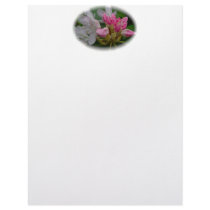 Delicate Pink Azaleas Letterhead Design