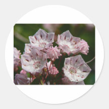 Delicate Pink Round Stickers
