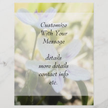 Delicate Spring Beauty Flowers Flyer