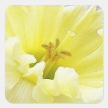 Delicate Spring Daffodil Sticker