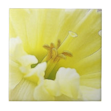 Delicate Spring Daffodil Ceramic Tiles